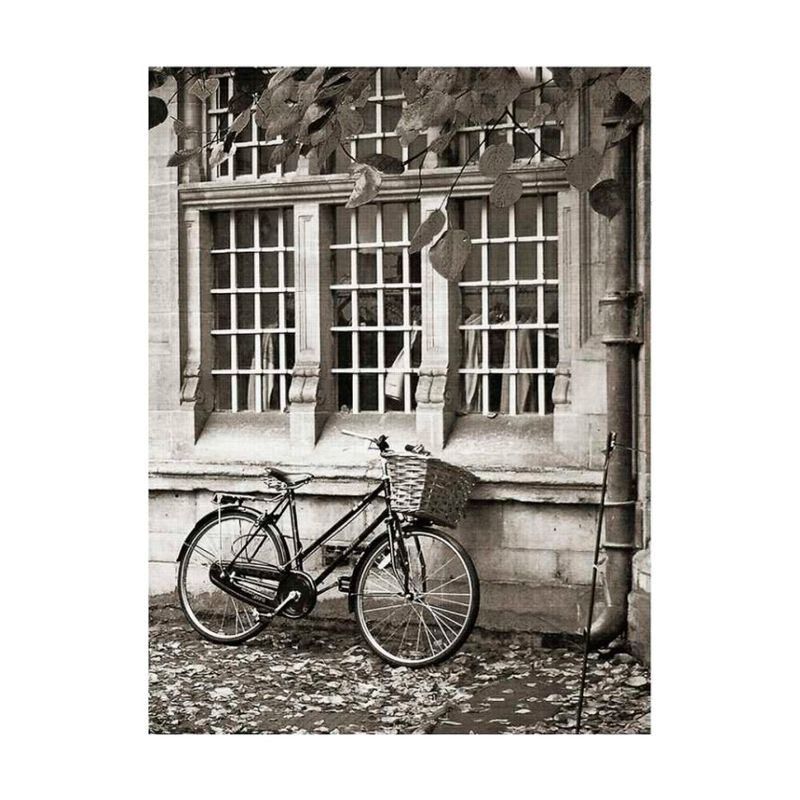 quadro-decorativo-bicicleta-preto-e-branco