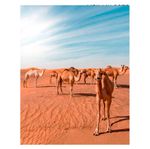 quadro-decorativo-camelos