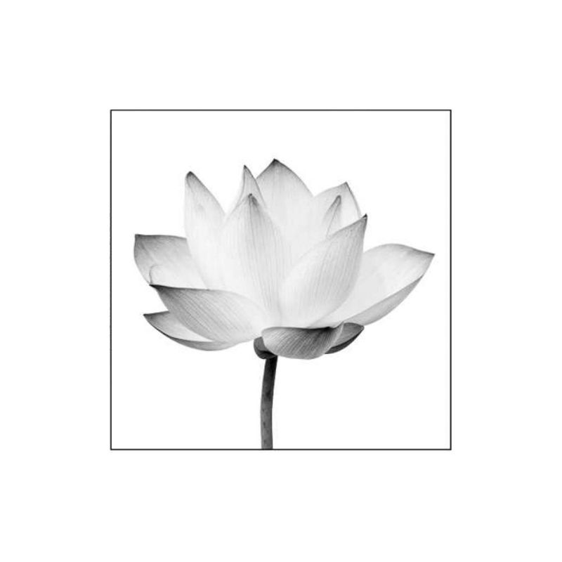 quadro-decorativo-flor-de-lotus-branco-e-preto