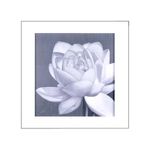 quadro-decorativo-flor-de-lotus-branco