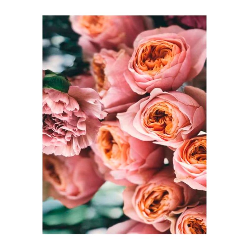quadro-decorativo-flores-rosas-1