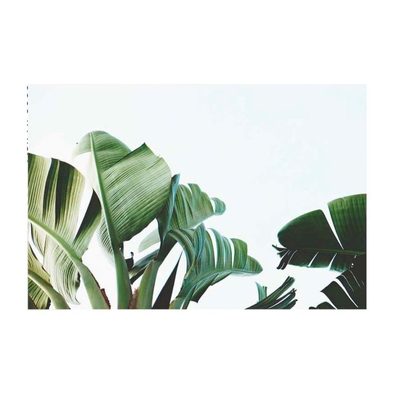 quadro-decorativo-folhas-de-bananeira