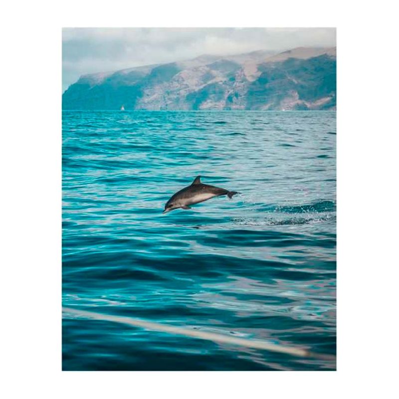 quadro-decorativo-golfinho
