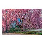 quadro-decorativo-paisagem-arvore-cerejeira