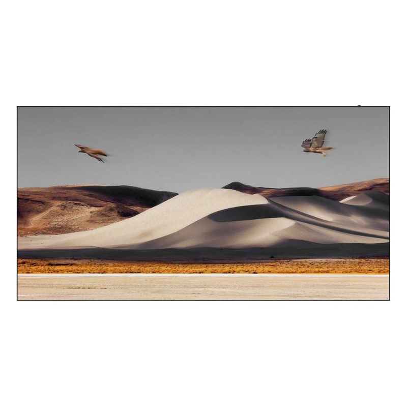 quadro-decorativo-paisagem-deserto-e-gaviao