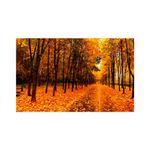 quadro-decorativo-paisagem-outono-amarela-3