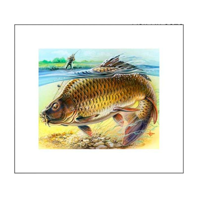 quadro-decorativo-peixe-dourado