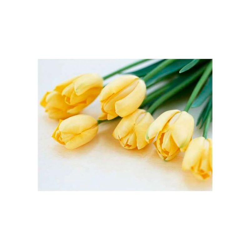 quadro-decorativo-tulipas-amarelas