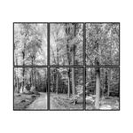 kit-6-quadros-decorativo-floresta-preto-e-branco